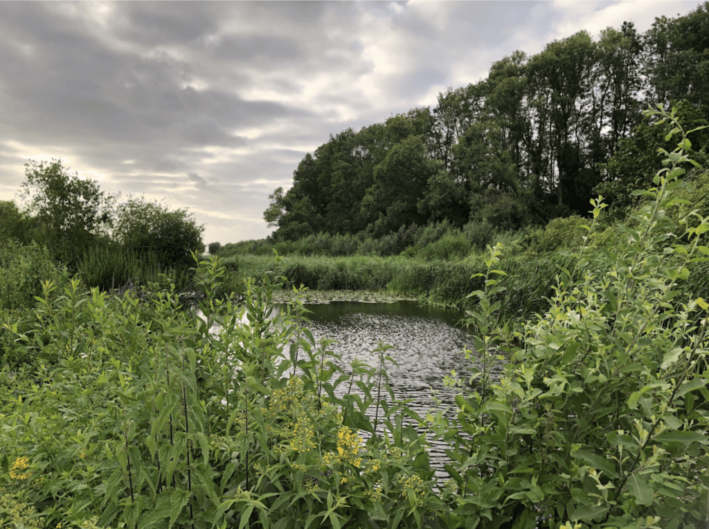 Kolkenbosch restant oude rivierloop